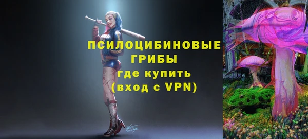 прущая мука Каменногорск
