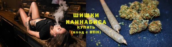 стаф Карпинск