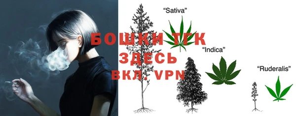 стаф Карпинск