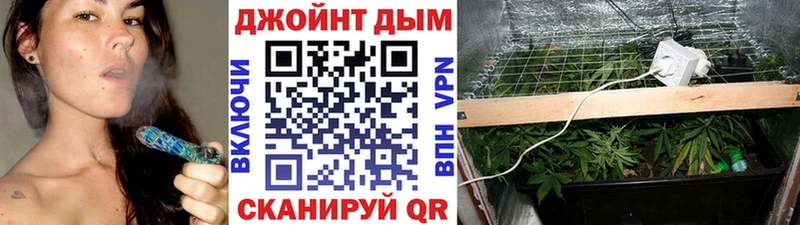 Марихуана Bruce Banner  Купить закладки  Кохма 